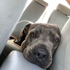 Meet your Posher, Nancy